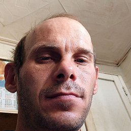 ���������, ���������, 41 ���