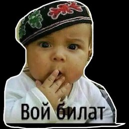 ���� ��������, �����������, 54 ���� - ��������� 7 ������� 2023