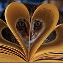 ���� ������, ��������, 47 ��� - ��������� 28 ���� 2023