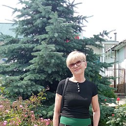 �������, ����������, 59 ���