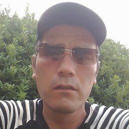 ����, ������, 41 ���