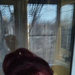 �����, ���������, 50 ���