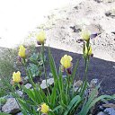 ���� ����, ���������, 75 ��� - ��������� 3 ��� 2023