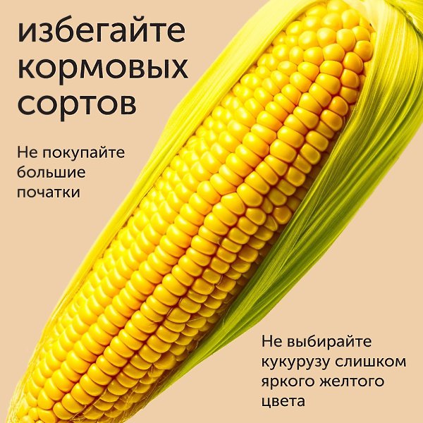 Как правильно сварить кукурузу? Нежная вареная кукуруза, горячая, посыпанная крупной солью — ... - 3