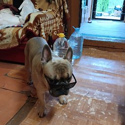 ���� Sergei, �����-���������, 43 ���� - ��������� 27 ���� 2023