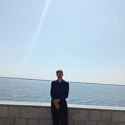 �����, ������, 38 ���