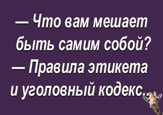  - 14  2023  16:38