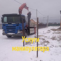 �����, ������, 49 ���