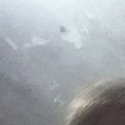 ������, ������, 41 ���