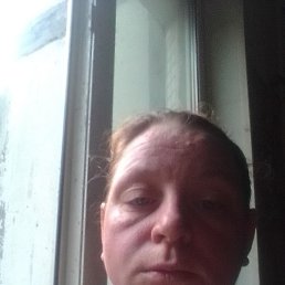 ����, �����-���������, 41 ���