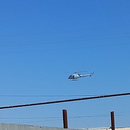 ������, �����, 46 ���