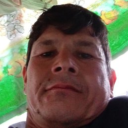 �����, ������, 39 ���