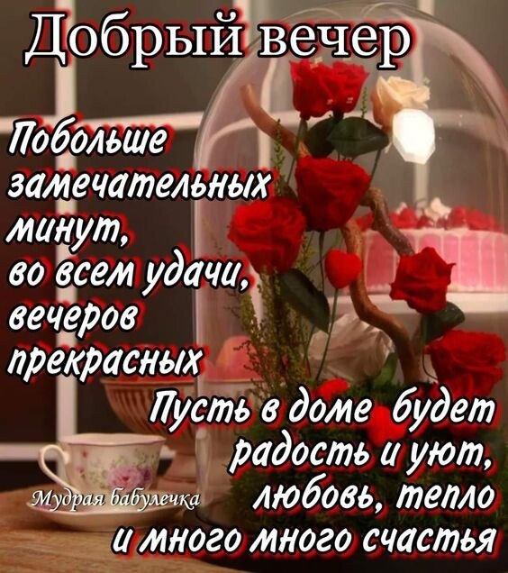  - 3  2023  15:58 - 6
