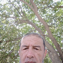 ���� �����, �����, 55 ��� - ��������� 4 �������� 2023