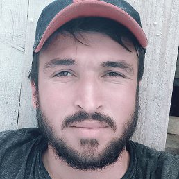 Ali, �������, 29 ���