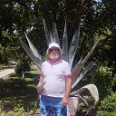 ���� ���, �����������, 61 ��� - ��������� 21 ���� 2023 � ������ ���� ����������