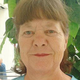 ��������, ���������, 66 ���