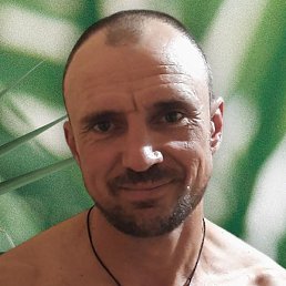 ������, ���������, 47 ���