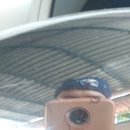 ���� Pedro, ���������, 30 ��� - ��������� 3 ������� 2023