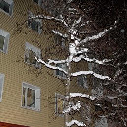 ���� �����, �������������, 67 ��� - ��������� 25 ���� 2023