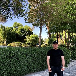 Alijon, �������, 29 ���