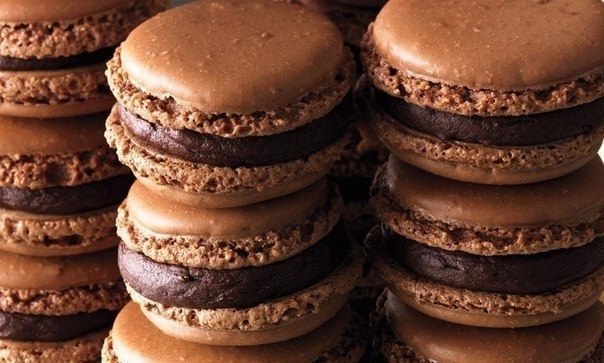  MACARONS.: : 200   110   95   ( ...