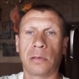 ������, ����, 43 ����