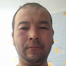 �����, ������, 36 ���