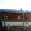 ���� ����, �����������, 42 ���� - ��������� 5 ����� 2023