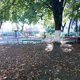 ����, ���������, 52 ����