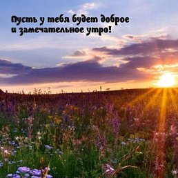 ���� ����� �� �����, �������, 49 ��� - ��������� 18 ����� 2023