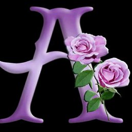 ���� ��, ������, 56 ��� - ��������� 5 ������ 2023