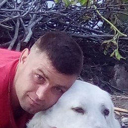 ����, �������, 39 ���