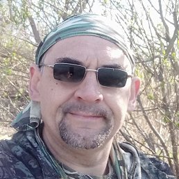 ������, ������, 44 ����