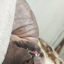 ���� Dima, �����������, 44 ���� - ��������� 7 ��� 2023 � ������ ���� ����������