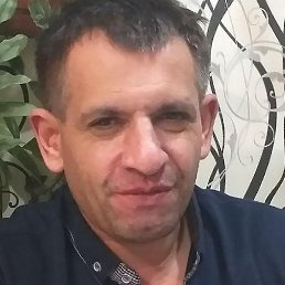 , , 50 