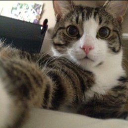 Sherzod, �����, 21 ���