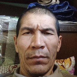 ����������, ������, 49 ���