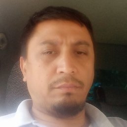 ����, ������, 43 ����