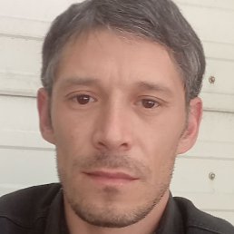 ������, ������, 41 ���