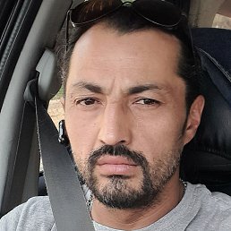 ����, �����-���������, 41 ���