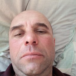 �����, ����-���������, 49 ���