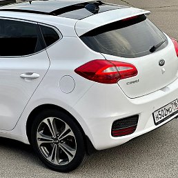 �����, ���������, 40 ���