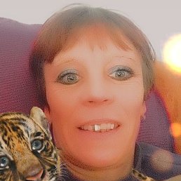 ������, ������, 46 ���