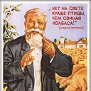 ���� �����, ������ ��������, 51 ��� - ��������� 27 ��� 2023