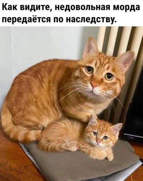 :)