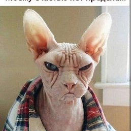 ������, �������������, 49 ���