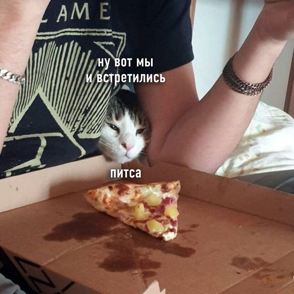 Эти забавные животные - 19 августа 2023 в 00:19