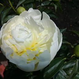 ���� ����, ������-��-����, 57 ��� - ��������� 26 ��� 2023