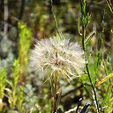  , , 66  -  21  2023    2023